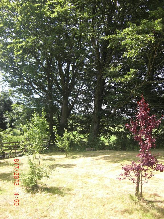 The Homestead Carnforth Eksteriør billede